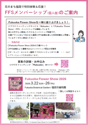 FFSメンバーシップ(個人版)チラシ