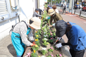 南区役所花壇植え替えの様子２