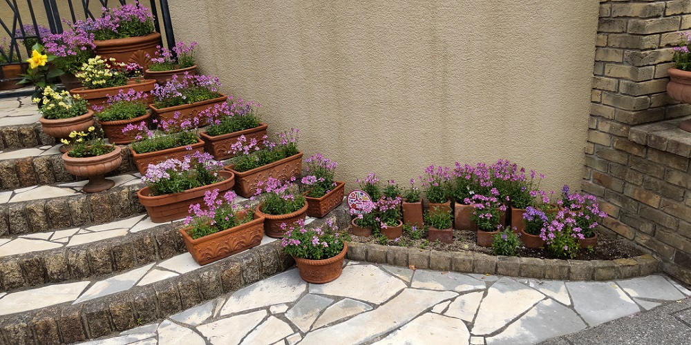 大野家花壇 一人一花パートナー花壇 福岡市 一人一花 運動 ホームページ