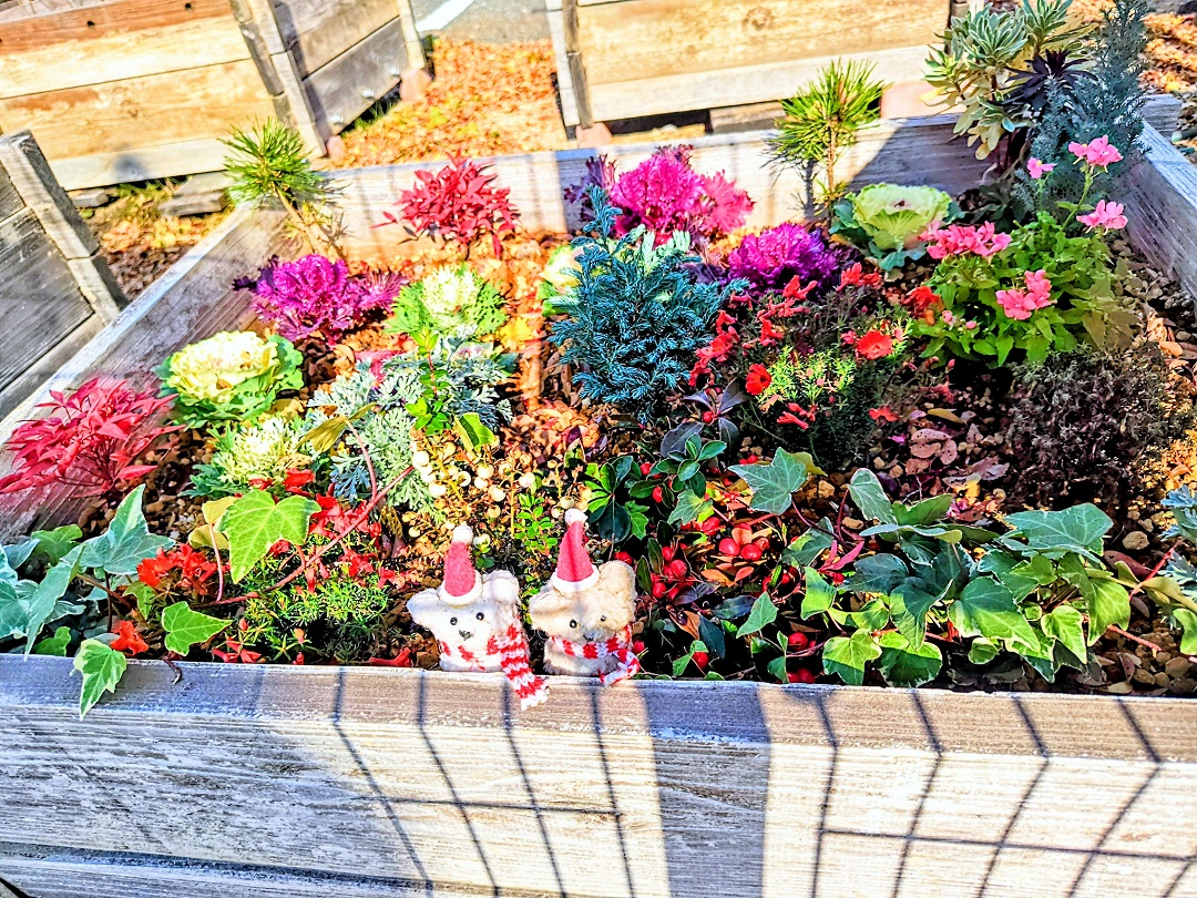 るるるる～るるガーデン写真２枚目