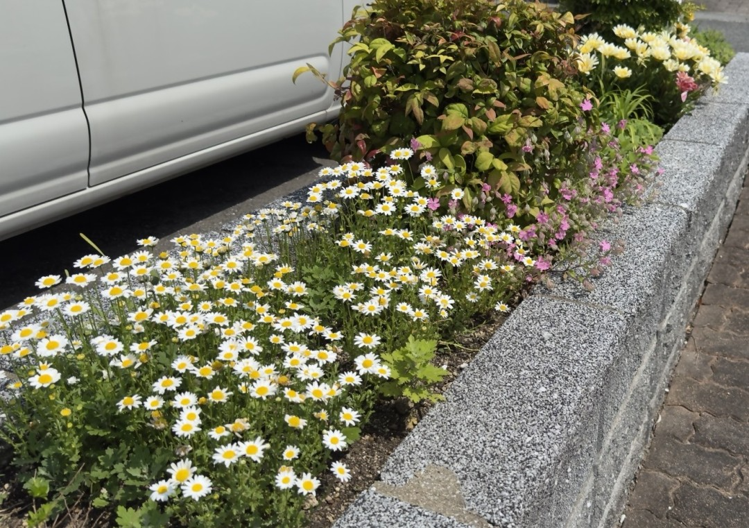 花壇の写真