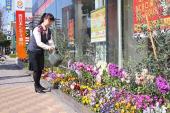 花壇の写真2