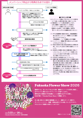 チラシ裏