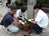 西鉄大橋駅西口広場花壇植え替えの様子２