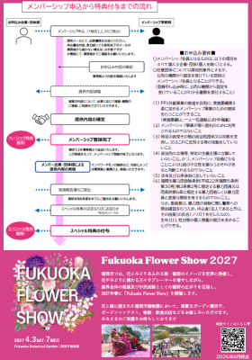 チラシ裏