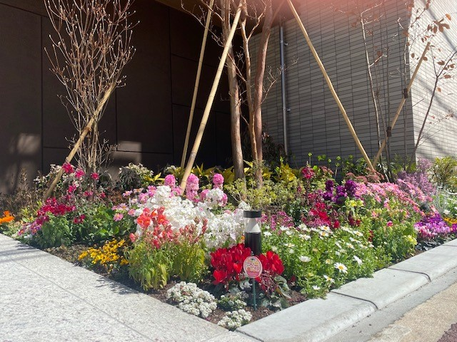 エンクレスト博多駅前base 一人一花パートナー花壇 福岡市 一人一花 運動 ホームページ