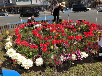 大橋駅東口ロータリーにある花壇