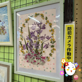 令和7年7月早良区役所花の作品展 ２作品目