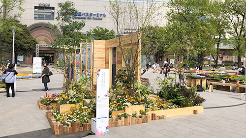 西日本短期大学緑地環境学科　制作花壇